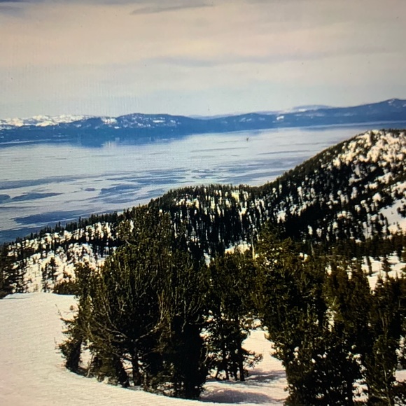 Talbots sequin Fish 🐟 embroidered embellished navy sheath Dress size 16 ⭐️ - Picture 9 of 9